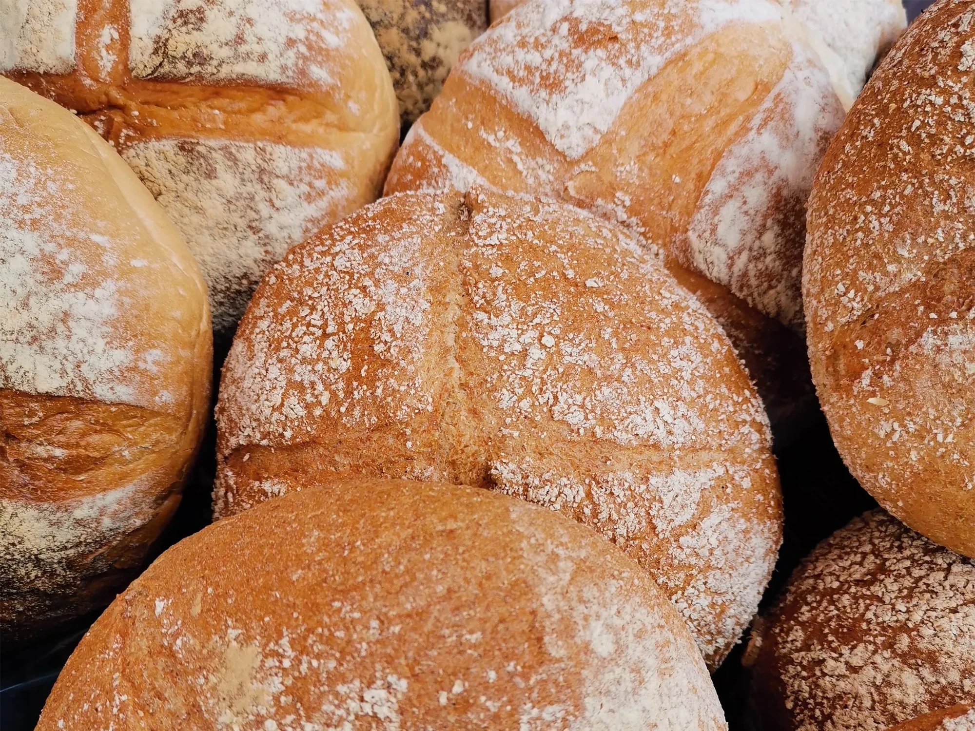 Close-up of several freshly baked round bread loaves.